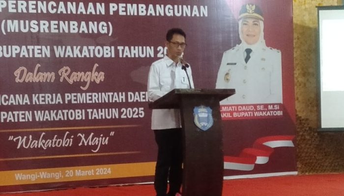 Haliana Dalam Upaya Hadirkan Pesawat