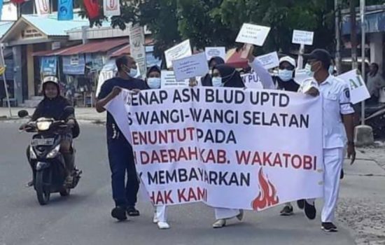 Puluhan Nakes di Wakatobi Minta Gaji Selama Tiga Bulan Dibayarkan