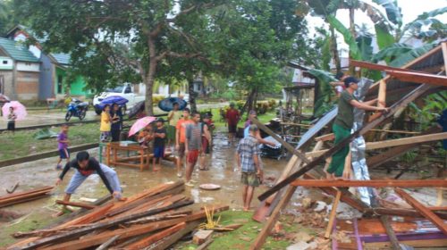 Akibat Angin Kencang, Pohon Tumbang Robohkan Rumah Warga Laonti
