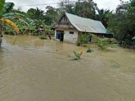 Salah satu rumah warga di Desa Anese kecamatan ndoolo Barat yang terrendam banjir. FOTO : MAHIDIN