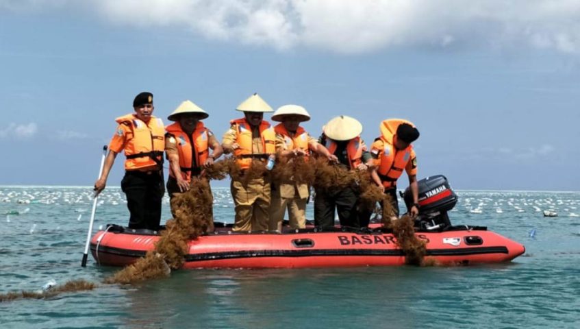 Arhawi Hadiri Pesta Panen Rumput Laut, Ini Ungkapan Petani