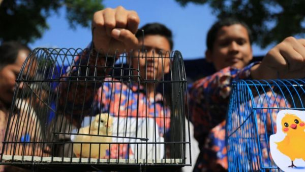 Solusi Jitu Tak Kecanduan Gawai Bagi Anak