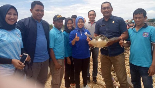 BPSPL Lepas Chelonia Midas di Perairan Lasora Butur