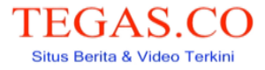 TEGAS.CO