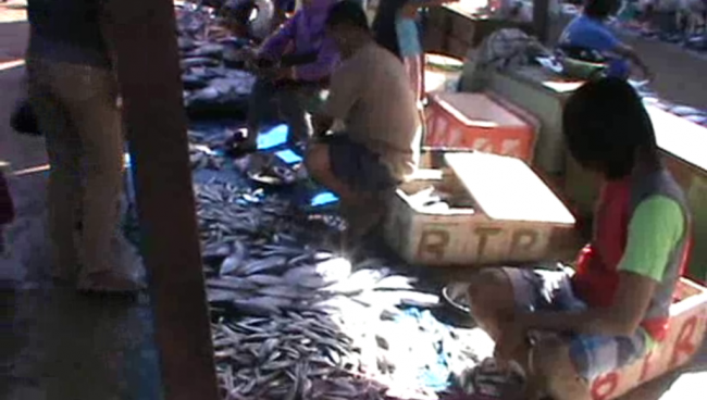 Memasuki Ramadhan, Harga Ikan Mulai Naik