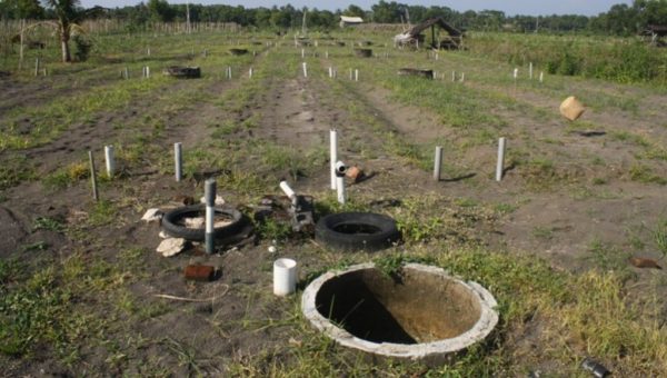 Olah Tanah Pertanian Warga Untuk Produksi Sayur
